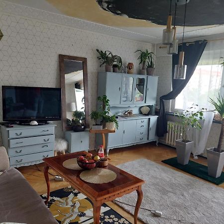 Alterra Apartment,13 Legionowa Street, Flat, Mieszkanie 41 بياليستوك المظهر الخارجي الصورة