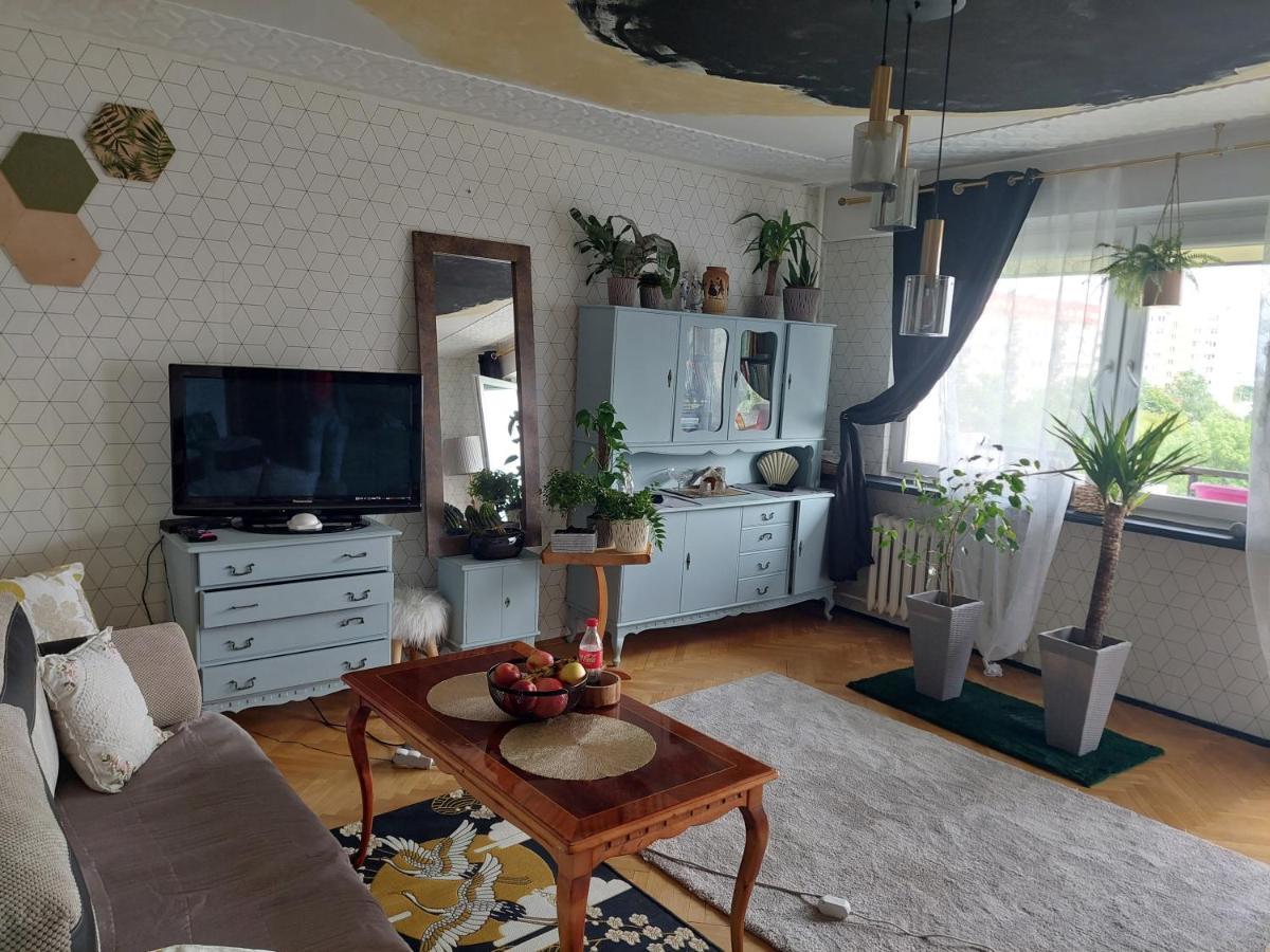 Alterra Apartment,13 Legionowa Street, Flat, Mieszkanie 41 بياليستوك المظهر الخارجي الصورة