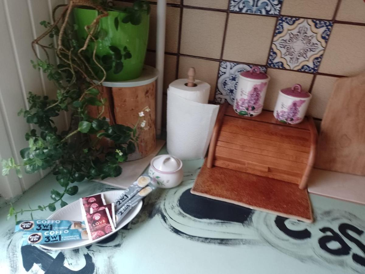 Alterra Apartment,13 Legionowa Street, Flat, Mieszkanie 41 بياليستوك المظهر الخارجي الصورة